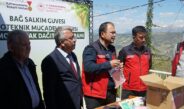 Büyükşehir’den Bertiz’de Kabarcık Üzümüne Doğal Koruma Hamlesi.