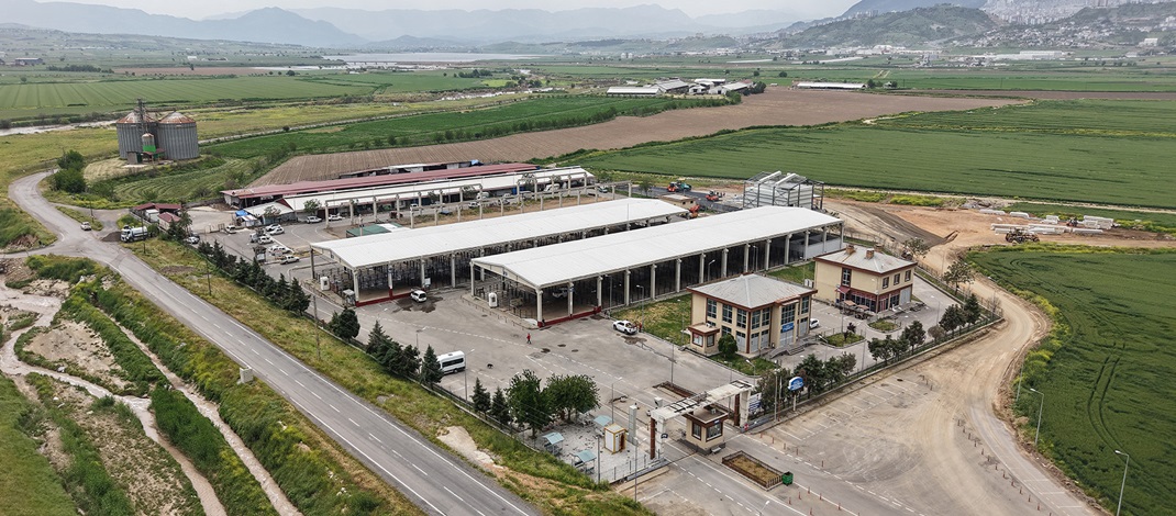 Canlı Hayvan Borsası Kurban Bayramı’na Hazır; Kurbanlık Satışları Başlıyor.
