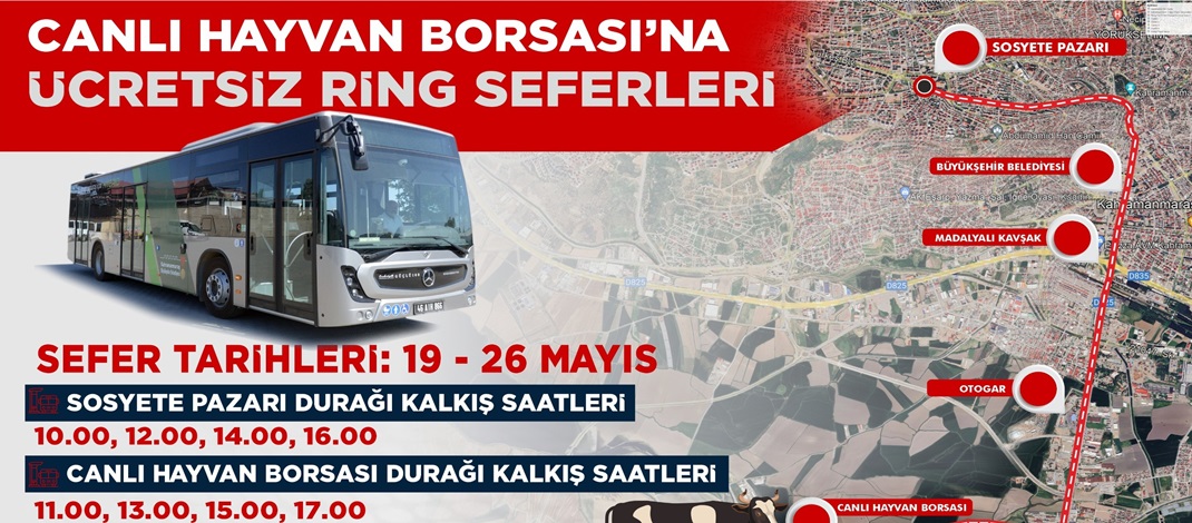 Canlı Hayvan Borsası’na Ücretsiz Ring Seferleri Başlıyor.